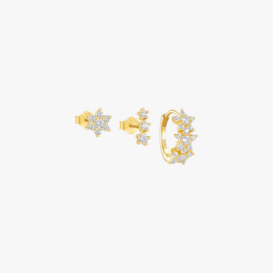 Zircon Floral Hoop and Stud Earrings Set